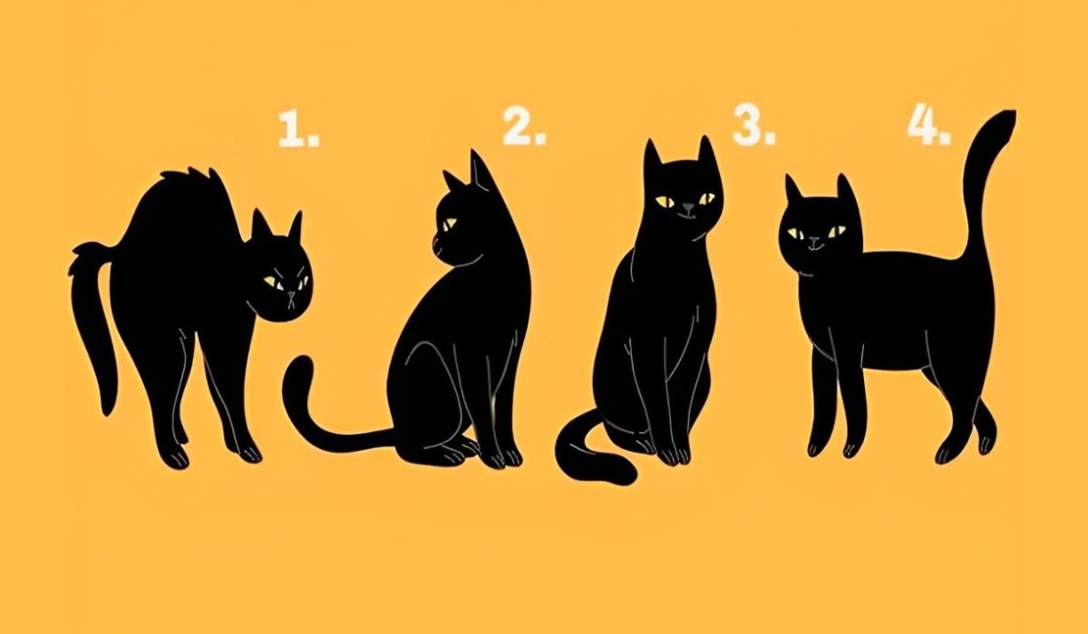 Test de personalidad: elige uno de los gatos en esta ilustración para descubrir cómo te ven las personas (Foto: GenialGuru).