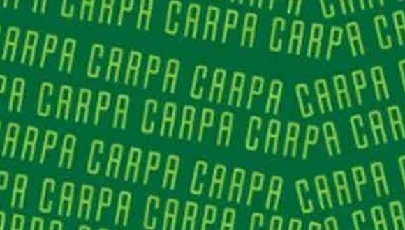 RETO VIRAL | En esta imagen, cuyo fondo es de color verde, hay muchas palabras ‘CARPA’. Entre ellas, está el término ‘CARTA’. (Foto: MDZ Online)