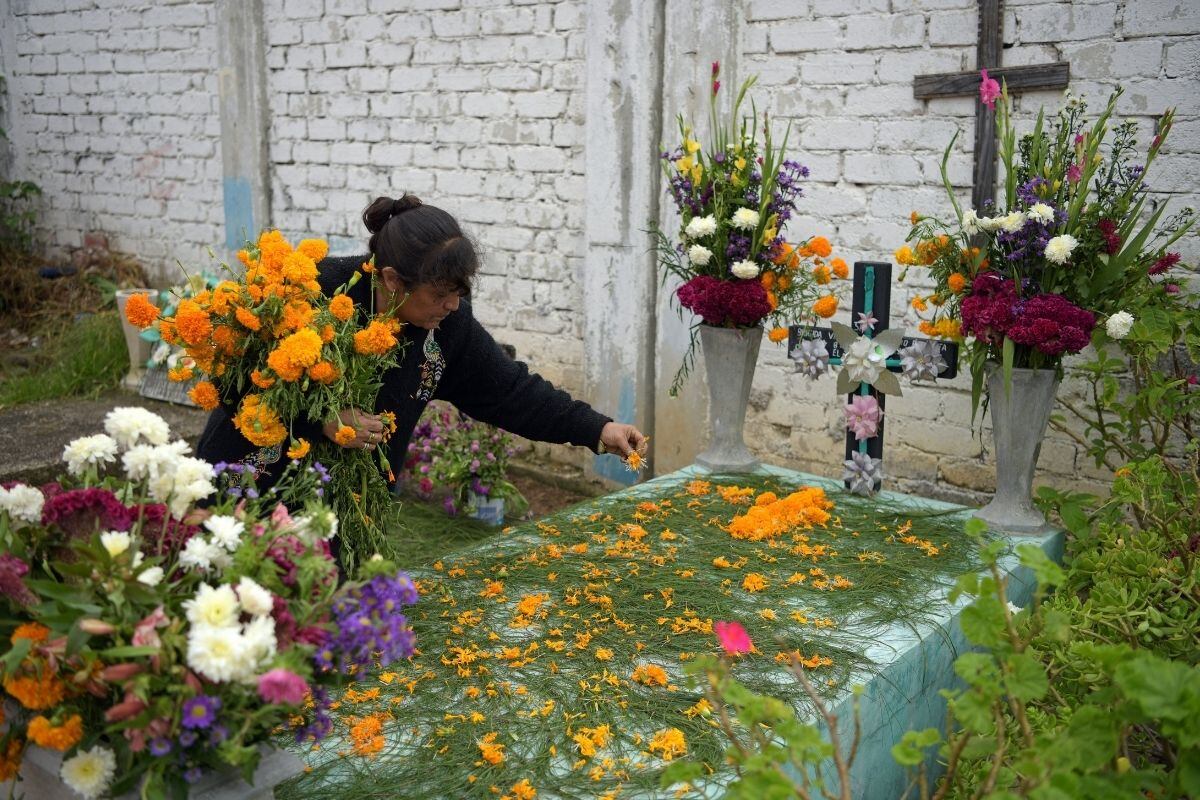 Una mujer coloca flores de cempasúchil en una tumba antes de la celebración del Día de Muertos (Foto: AGUSTIN PAULLIER / AFP)