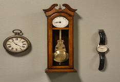 Descubre tu lado emocional eligiendo uno de estos tres perros