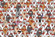 Encuentra los tres búhos camuflado entre las gallinas en 9 segundos: ¿te atreves?