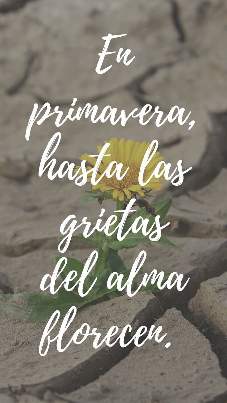 Imágenes de primavera. (Foto: Pinterest)
