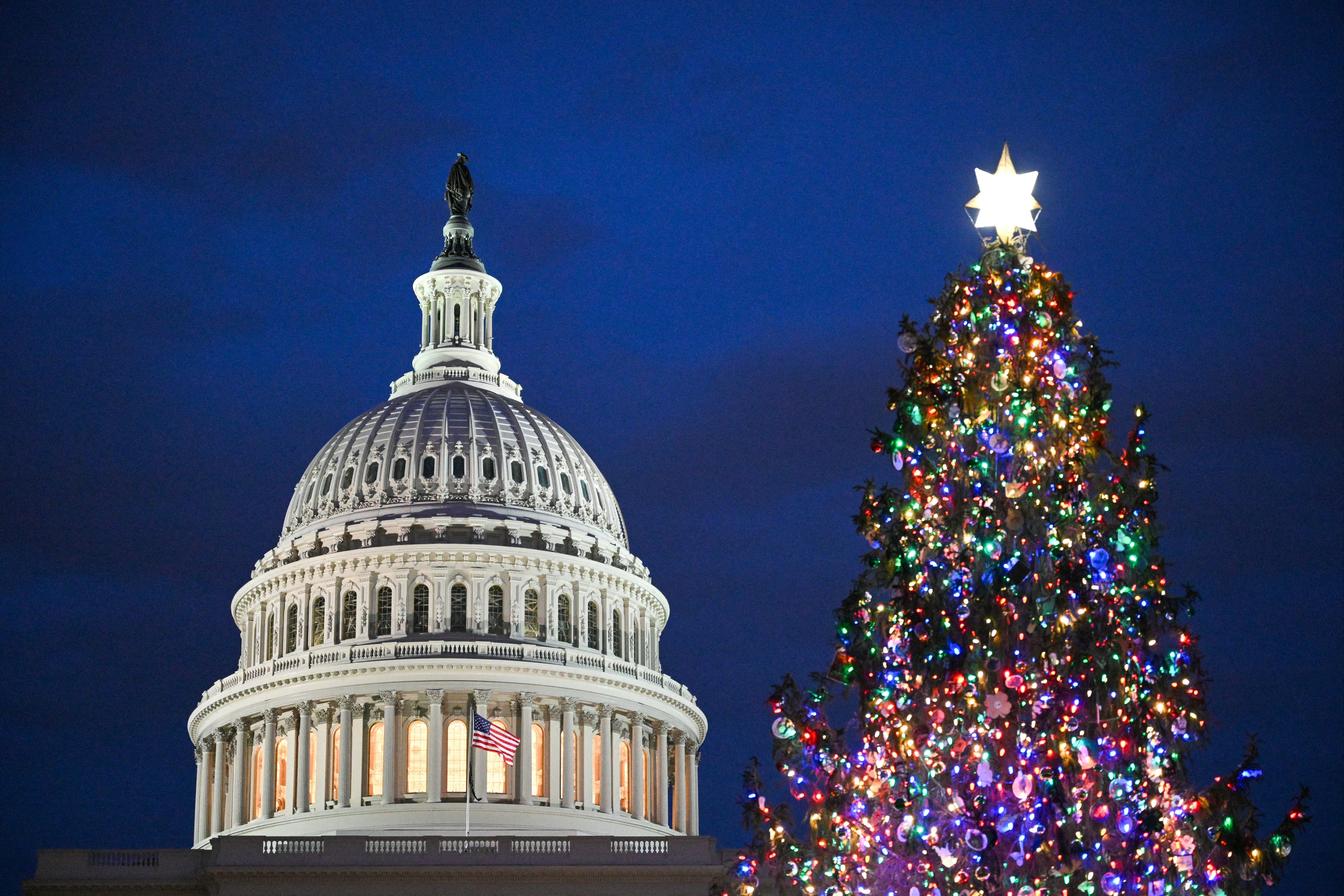 El árbol de Navidad del Capitolio se ve en el frente oeste del Capitolio de los Estados Unidos en Washington (Foto de Mandel Ngan / AFP)