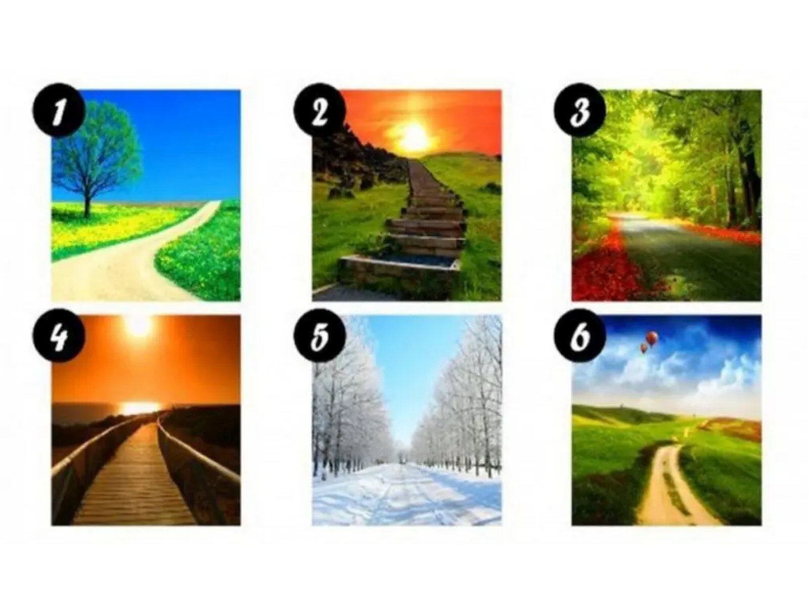 TEST VISUAL | Esta imagen te muestra seis caminos distintos. Indica cuál tomarías. (Foto: namastest.net)