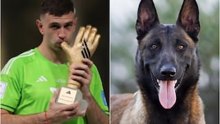 Un perro ‘militar’ cuidará los premios del ‘Dibu’ en el Mundial: ¿cuántos miles le ha costado?