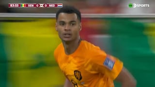 Sobre el final: gol de Cody Gakpo para el 1-0 de Países Bajos vs. Senegal [VIDEO]