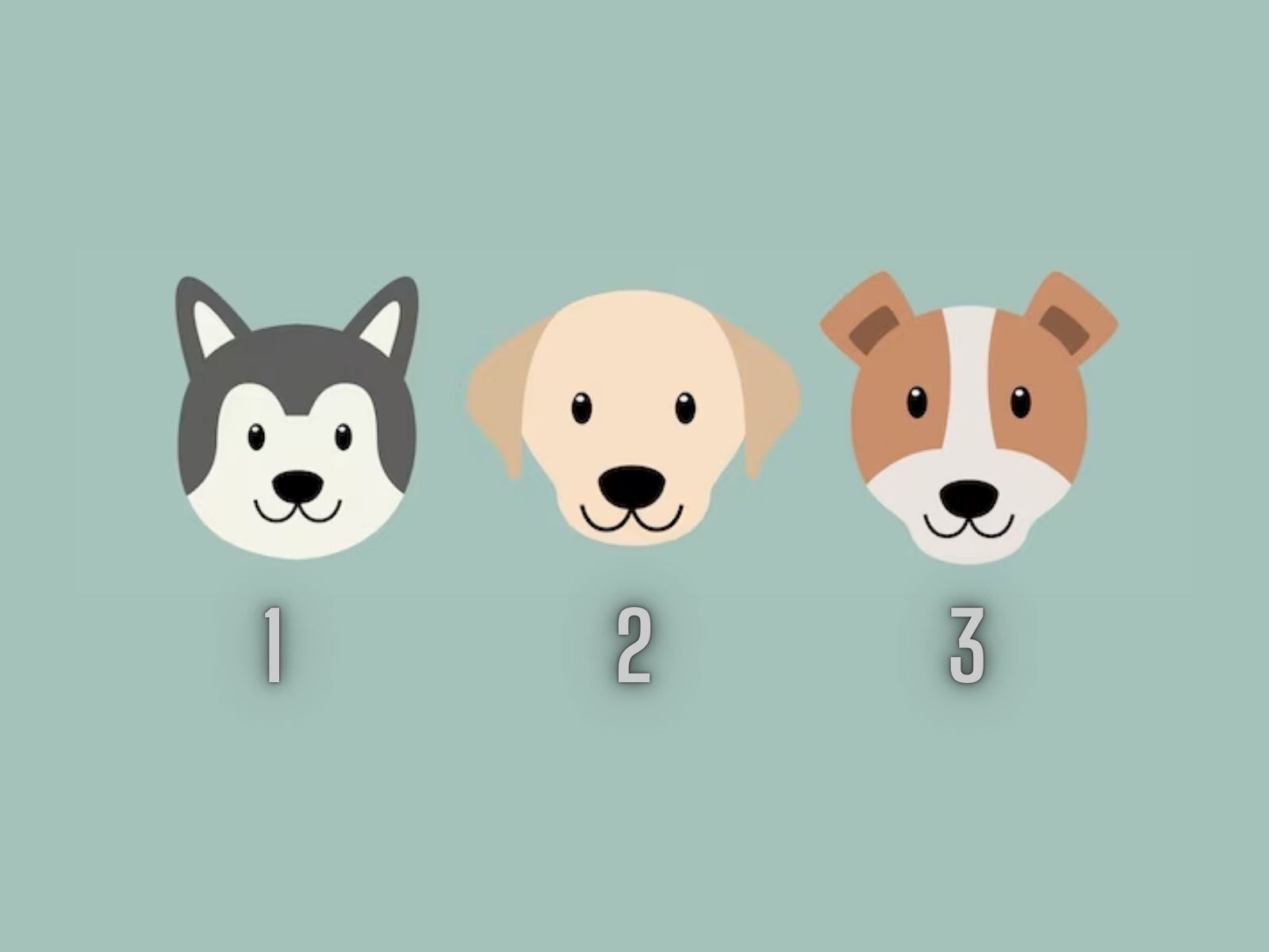 TEST VISUAL | Los canes se han convertido en uno de los animales más adorados por las personas. (Foto: Composición Freepik / Depor)