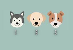 Tu nivel de lealtad lo conocerás al escoger tu perro favorito