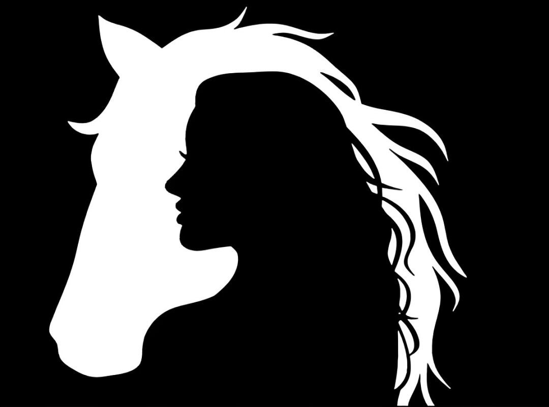 Descubre si eres una persona apasionada según lo primero que veas en esta imagen (Foto: GenialGuru).