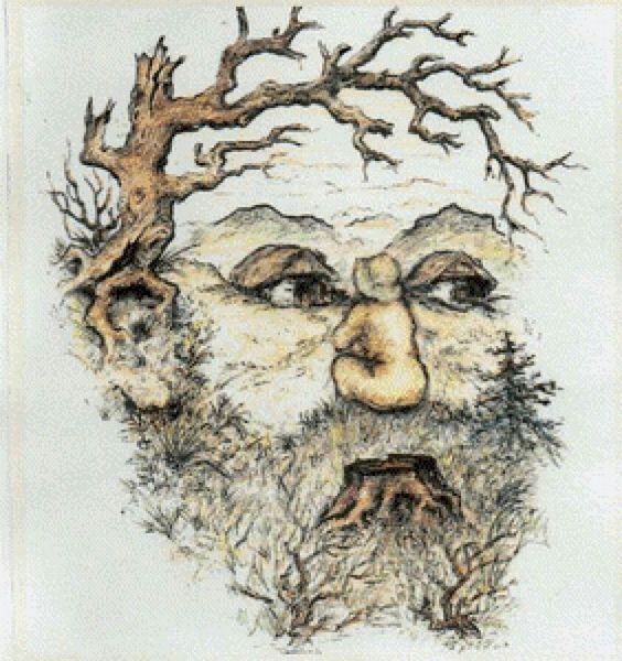 SOLUCIÓN TEST VISUAL | Con un poco más de color, se puede observar con mayor nitidez a la mujer.