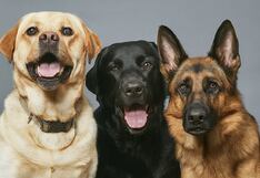 Elige un reloj y revela aspectos ocultos de tu personalidad en un instante