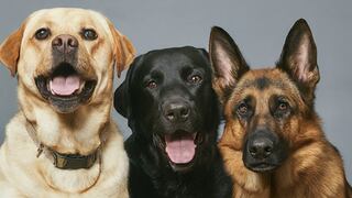 Elige un reloj y revela aspectos ocultos de tu personalidad en un instante