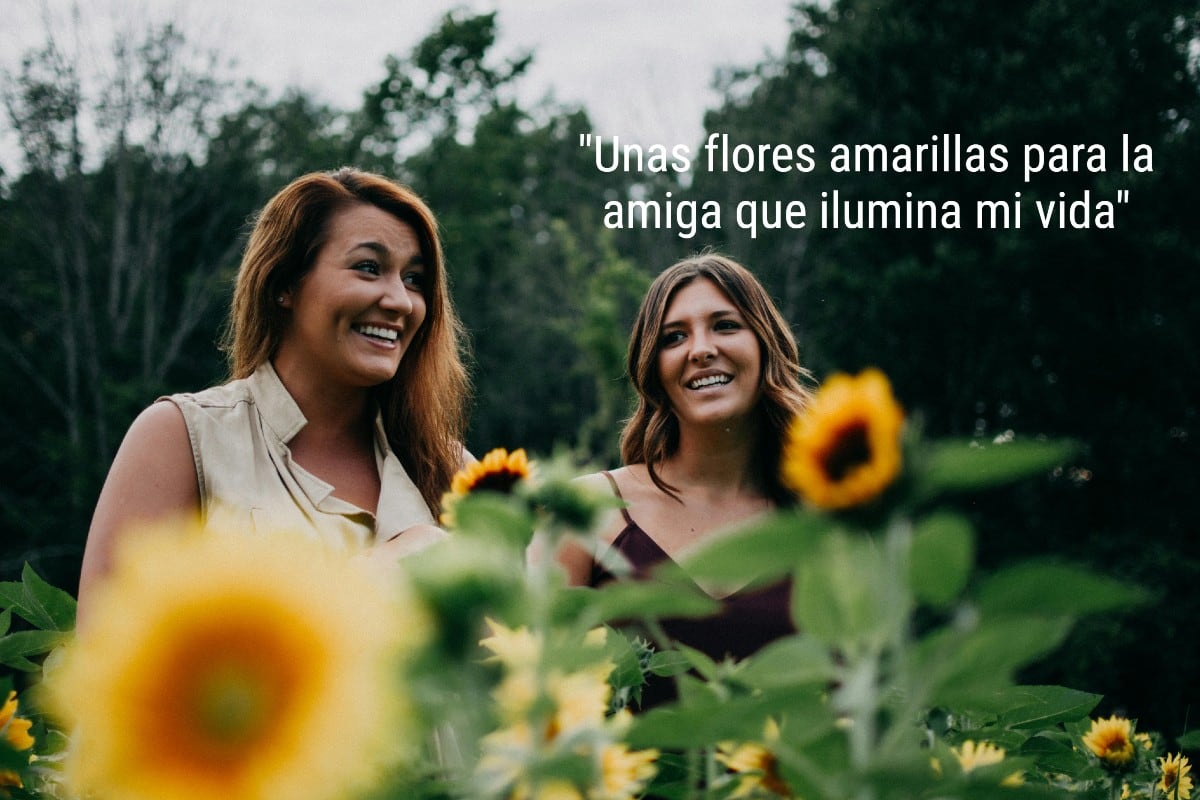 FRASES | ¡Elige el mensaje que más te guste para acompañar tu arreglo floral y sacarle una sonrisa a esa amiga que tanto quieres!. (Foto: Max Andrey / Pexels)