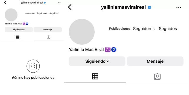 Yailin La Más Viral se desapareció de redes sociales tras la filtración de sus fotografías con lesiones (Foto: Yailin La Más Viral / Instagram)