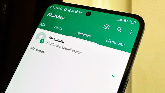 WhatsApp: ¿cómo dejar de ver los estados de algunos contactos?