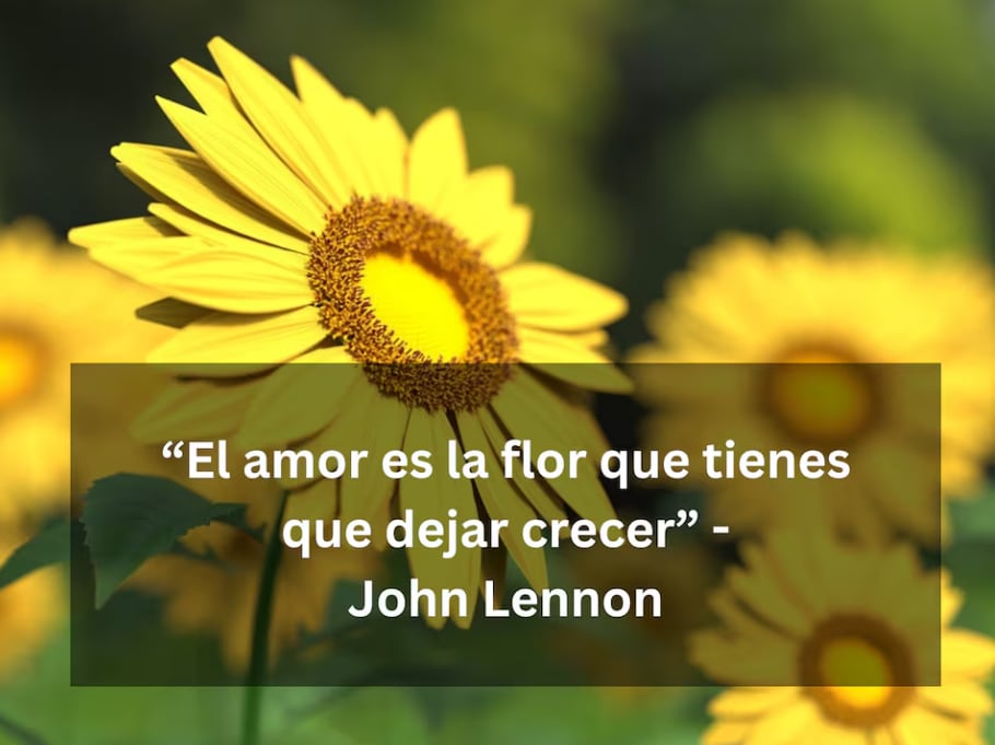 “El amor es la flor que tienes que dejar crecer” - John Lennon | Imagen de Monoar Rahman Rony en Pixabay / Composición Depor.