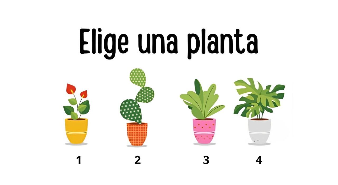 Elige una de las plantas en esta ilustración para conocer cuál es tu edad mental (Foto: Namastest).