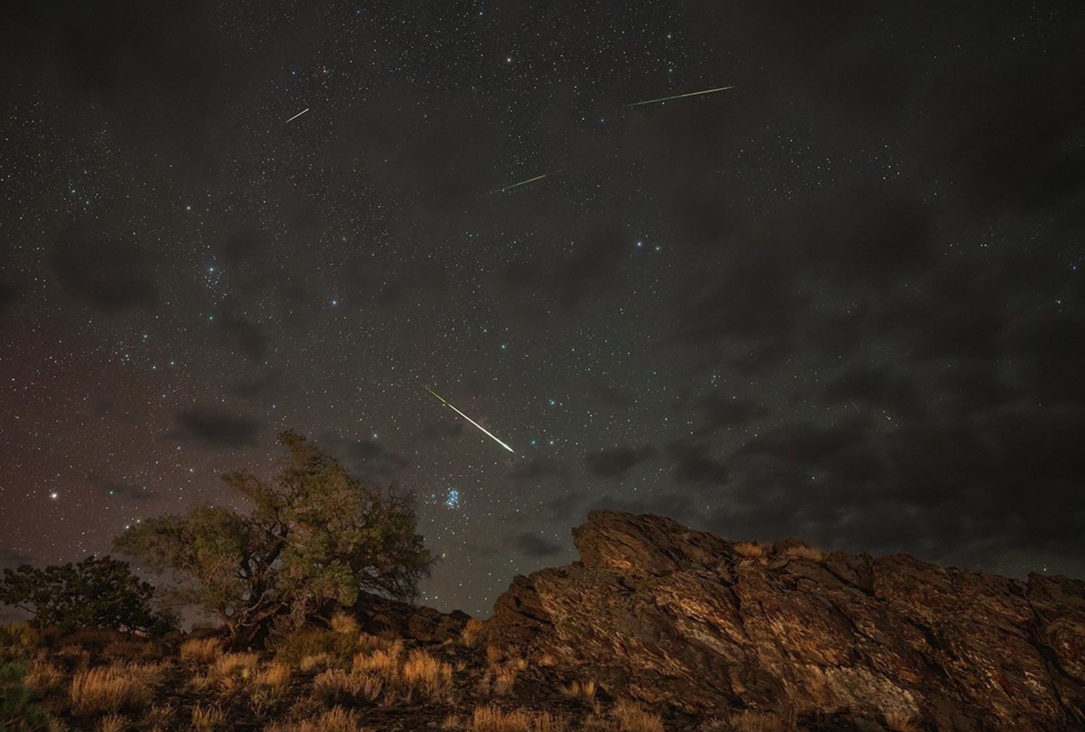 Meteors from the Perseids Meteor Shower streak across a partly cloudy sky above Inyo National Forest in Bishop, California. (Photo by NASA/Preston Dyches)