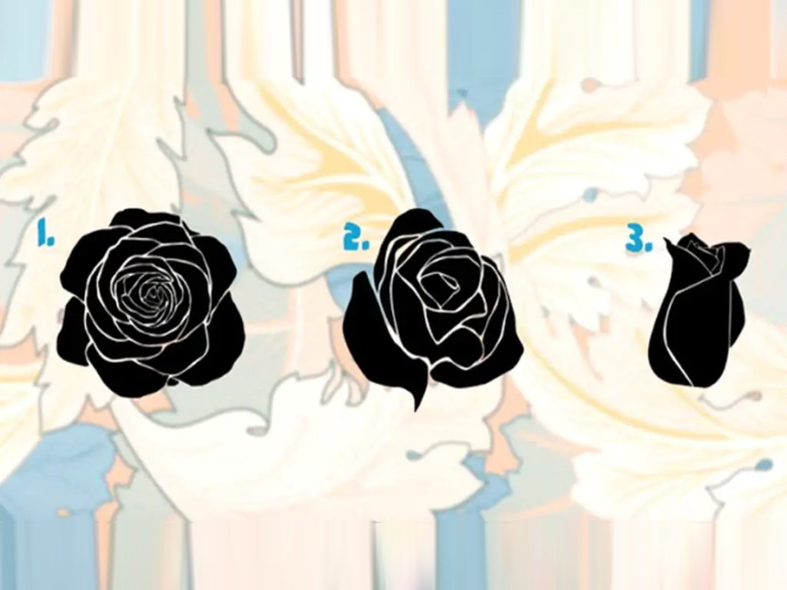 TEST VISUAL | En esta imagen se aprecian varias rosas negras. Debes elegir una. (Foto: namastest.net)