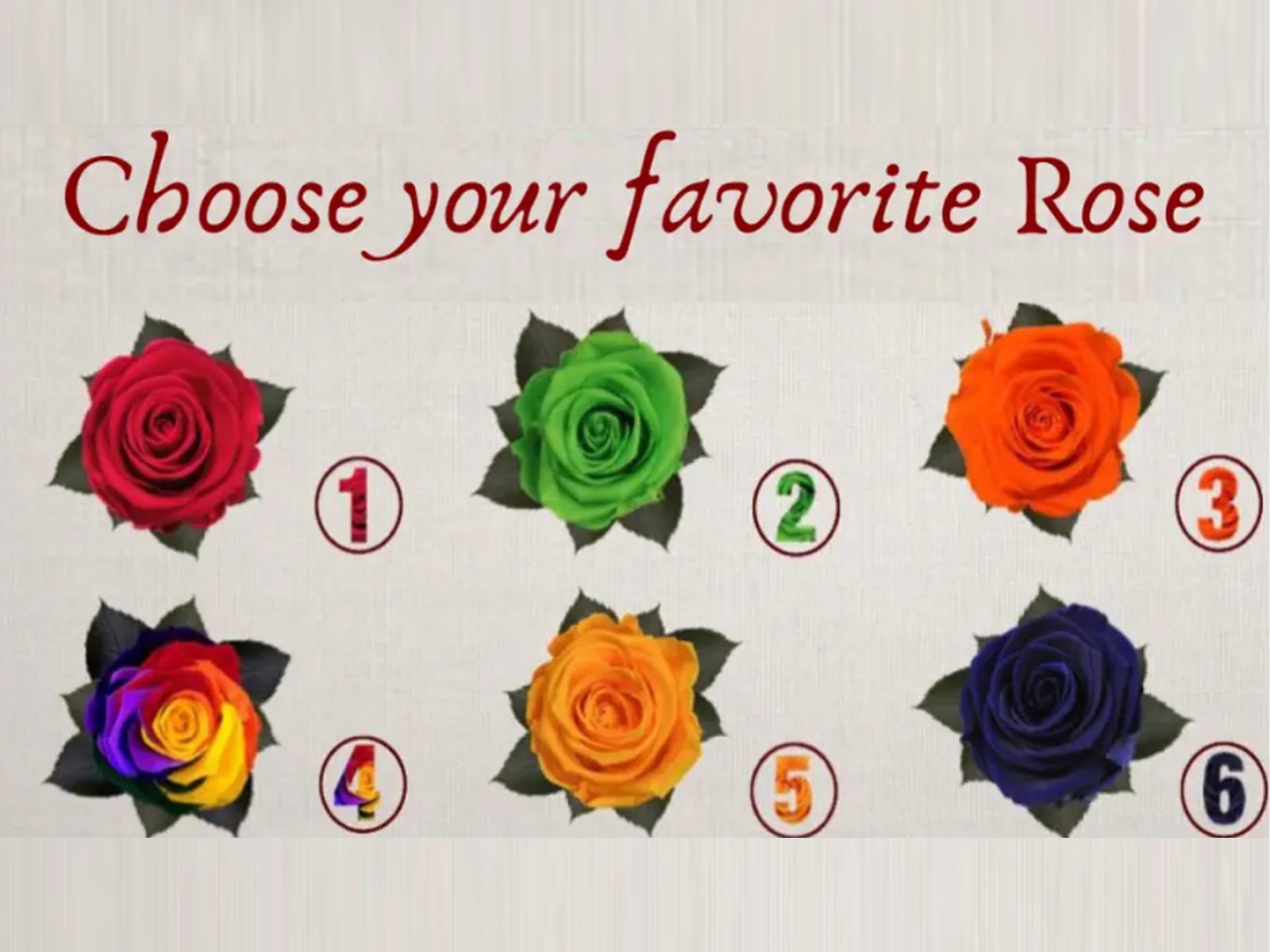 TEST VISUAL | En esta imagen hay varias rosas. Tienes que seleccionar tu favorita. (Foto: namastest.net)