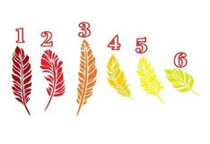 La clase de persona que eres saldrá a la luz si es que escoges una pluma