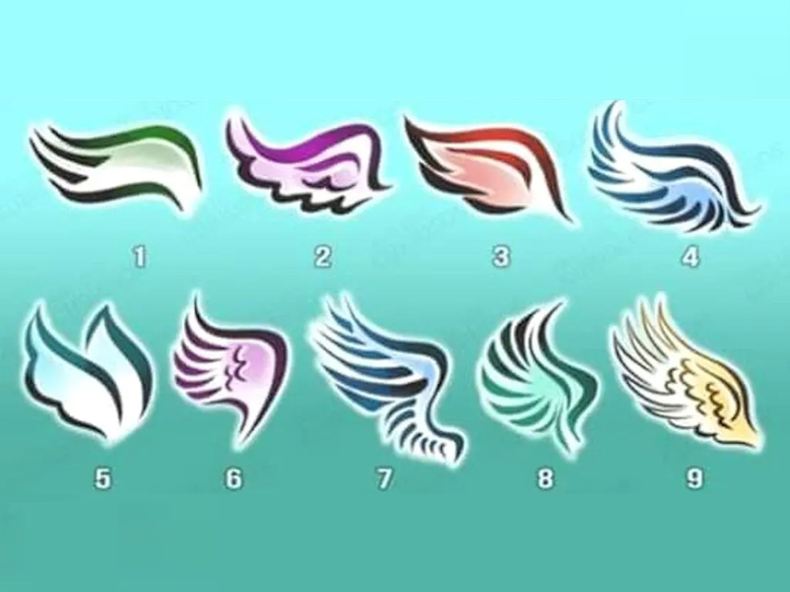 TEST VISUAL | En esta imagen puedes apreciar muchas alas. ¿Cuál es tu preferida? (Foto: namastest.net)