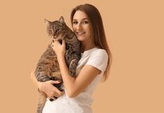Día de abrazar a tu gato 2024: ¿en qué fecha y desde cuándo se celebra a los felinos?