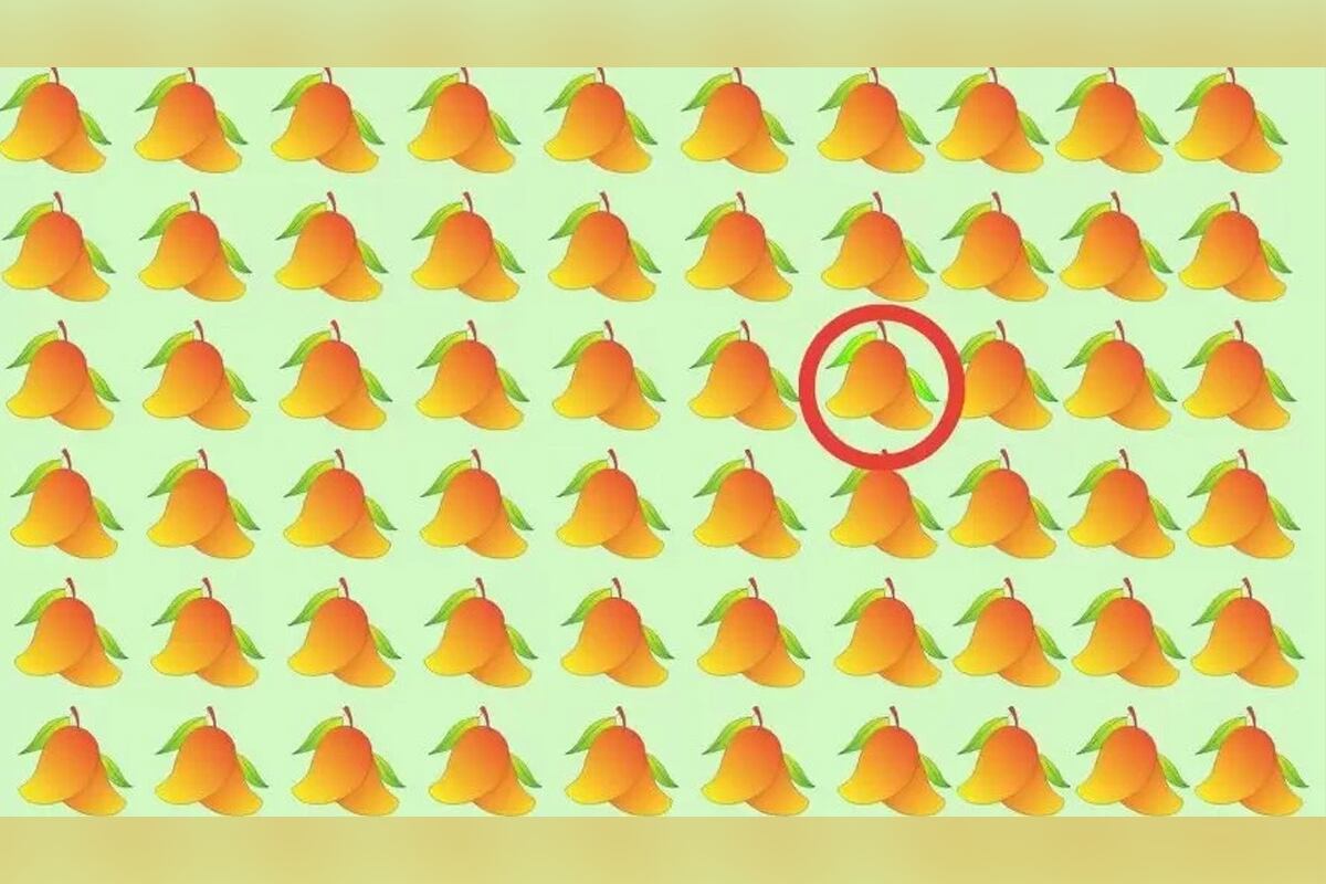 SOLUCIÓN DESAFÍO VISUAL | Escondido entre las filas de 128 mangos rojos hay un impostor y debías localizarlo antes de que se acabe el tiempo.
