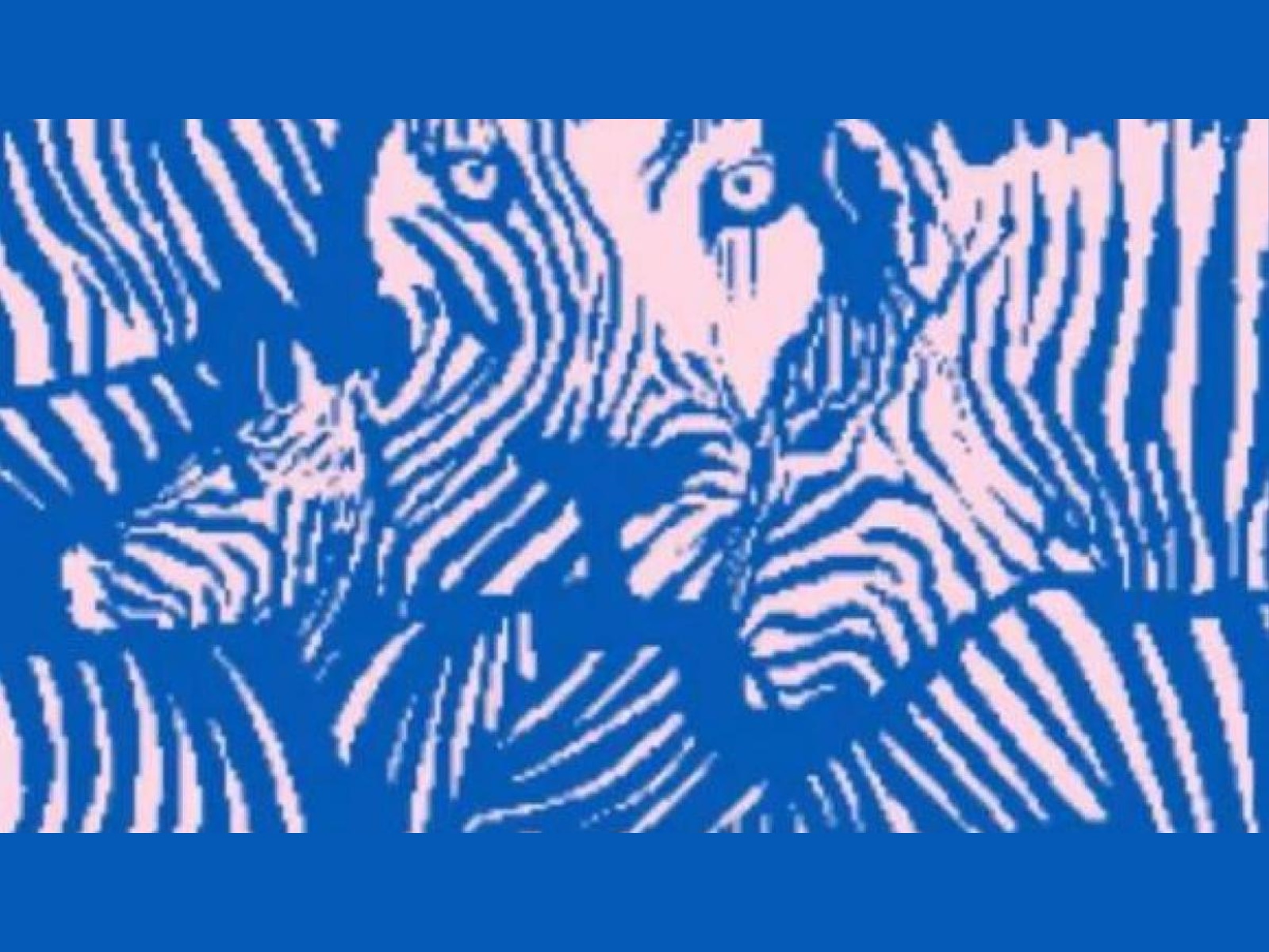 TEST VISUAL | Cebras y leones se convierten en espejos de tu carácter.