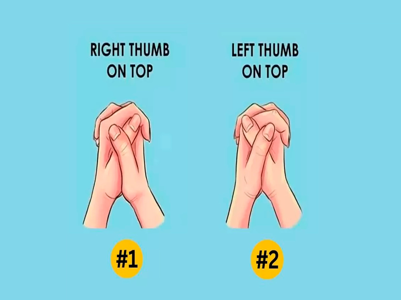 TEST VISUAL | Debes elegir solo una de las alternativas que te muestro para acceder a increíbles revelaciones. | Foto: jagranjosh