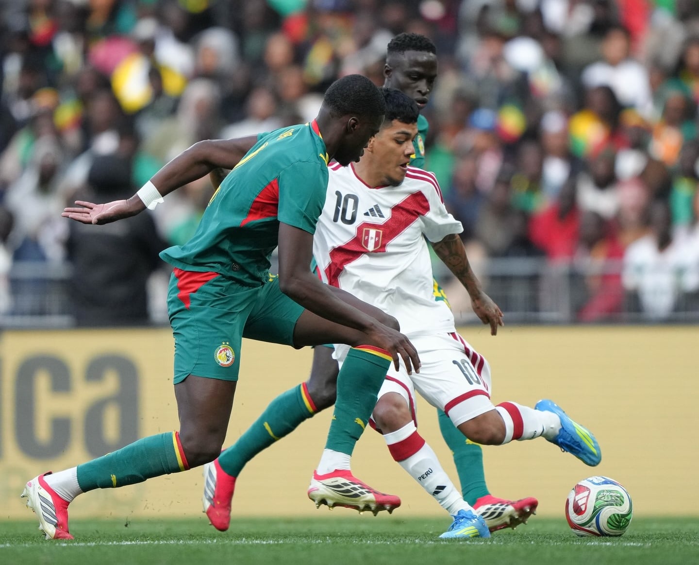 Joao Grimaldo tuvo buenos minutos ante Senegal pese a la derrota. (Foto: FPF)