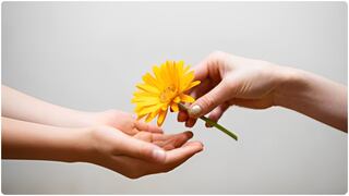 Imágenes de flores amarillas para compartir este 21 de marzo: frases, postales y mensajes