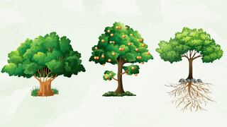Elige un árbol para descubrir las cualidades y defectos que te definen