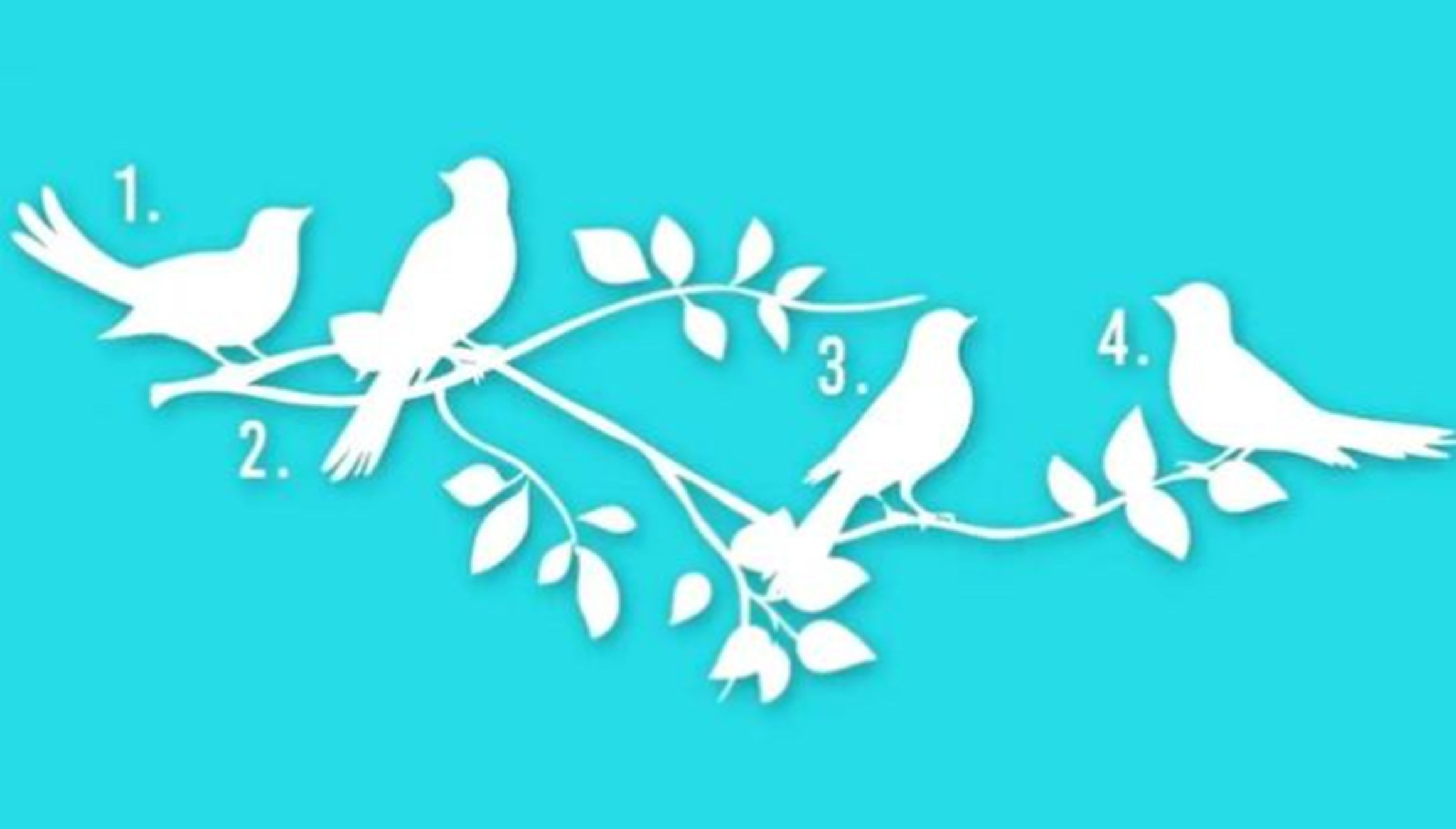 TEST VISUAL | En esta imagen hay muchos pájaros. Tienes que seleccionar uno. (Foto: namastest.net)