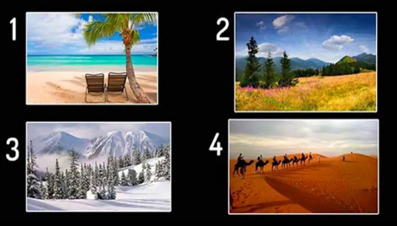 TEST VISUAL | En esta imagen hay muchos paisajes. Debes elegir uno. (Foto: namastest.net)