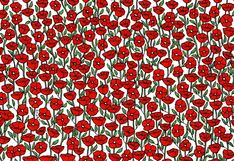 ¿Lograrás descubrir al cangrejo oculto entre las flores en menos de 7 segundos? ¡Pruébalo!