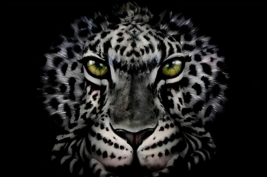 Descubre si eres una persona inquebrantable según veas a un tigre o una mujer (Foto: GenialGuru).