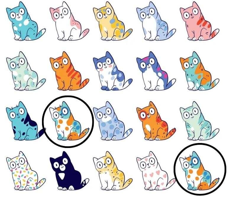 DESAFÍO VISUAL | Solo el 1% muy observador pudo detectar 2 gatos idénticos en 8 segundos.