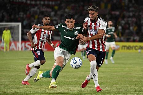 Junior vs. Palmeiras (1-1): goles, video y resumen por la Copa Libertadores