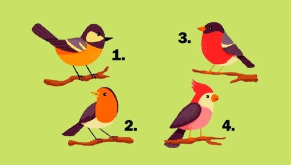 TEST DE PERSONALIDAD | Observa las imágenes de las diferentes aves disponibles y elige la que más te atraiga.