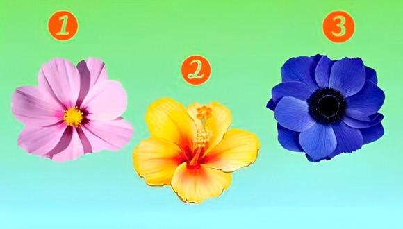 Test de personalidad: elige una de las flores en esta imagen para descubrir cómo eres cuando te enamoras (Foto: Namastest).