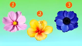 Escoge una de las flores en la imagen para descubrir cómo eres cuando te enamoras