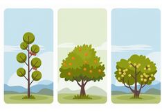 Escoge uno de los árboles en esta imagen para descubrir cuál es tu don más grande