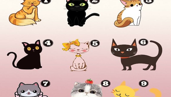 TEST VISUAL | ¿Eres un amante de los gatos? En esta prueba divertida y reveladora, te invito a explorar la conexión entre tu preferencia felina y tus rasgos ocultos de personalidad.