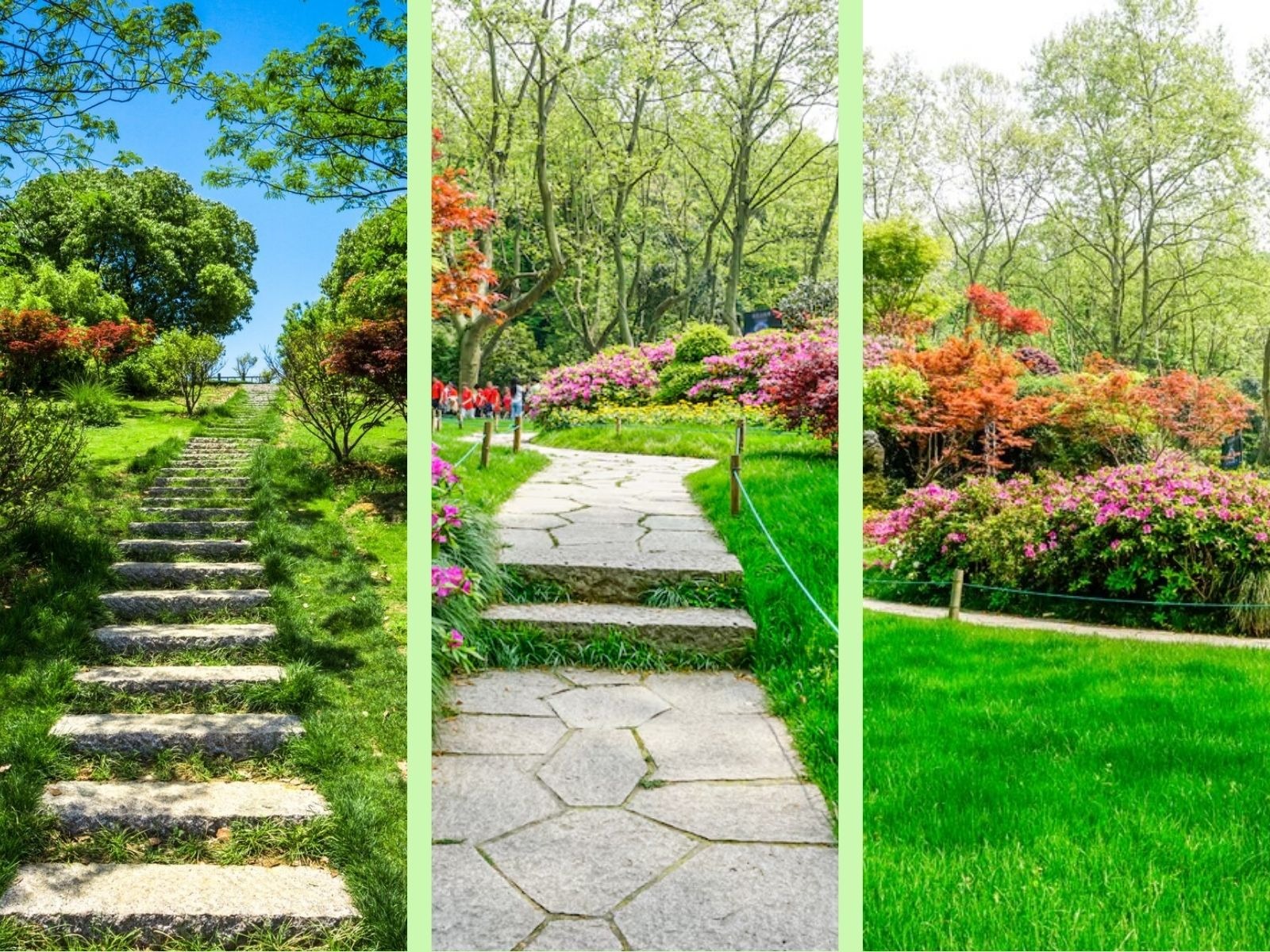 TEST VISUAL | La mayoría de hogares poseen un jardín hermoso con diversas flores y arbustos. (Foto: Composición Freepik / Depor)