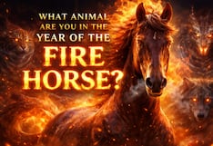 Chinese New Year 2026: What Animal Are You in the Year of the Fire Horse?