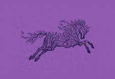 La silueta que veas te dirá si eres alguien auténtico