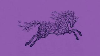 La silueta que veas te dirá si eres alguien auténtico