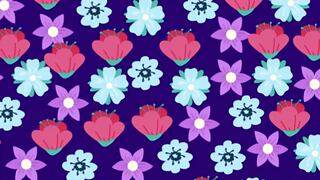 Encuentra la mariposa camuflada entre las flores en 11 segundos: ¿aceptas el reto?