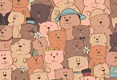 Tienes solo 10 segundos para hallar la papa oculta entre los castores en este desafío visual